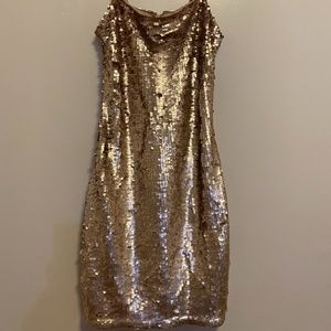 Lulus Sequined Dress